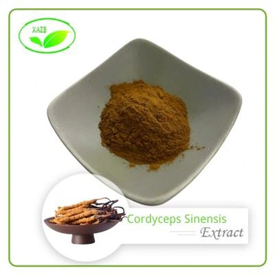 Cordyceps Sinensis Mushroom Extract